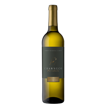 CHARNECO SAUVIGNON BLANC 2023