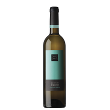 BORGES QUINTA DE SIMAENS 2023