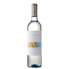 AT - ALVARINHO TRAJADURA 2023